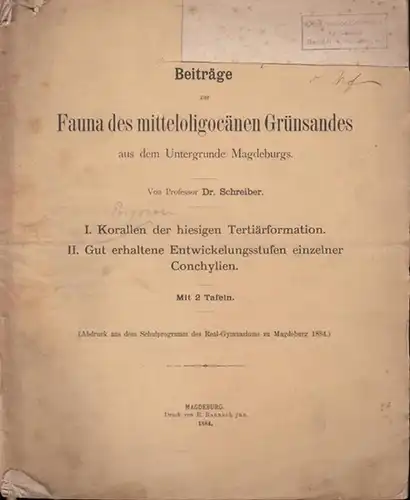 Schreiber, Prof. Dr: Beiträge zur Fauna des mitteloligocänen Grünsandes aus dem Untergrunde Magdeburgs. I. Korallen (Bryozoen) der hiesigen Tertiärformation. II. Gut erhaltene Entwicklungsstufen einzelner Conchylien...