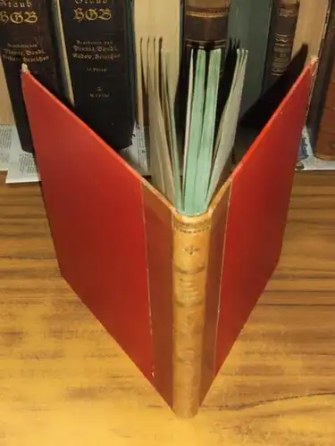 Lange, Gustav Georg: Original Ansichten der historisch merkwürdigsten Staedte in Deutschland nach der Natur von verschiedenen Künstlern in Stahl gestochen von Louis Hoffmeister, Joh. Poppel.. 