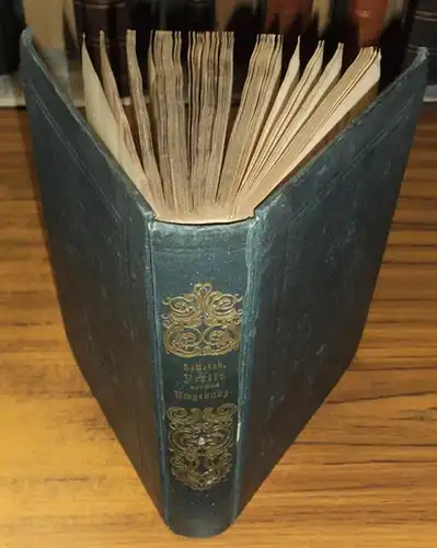 Rellstab, Ludwig: Berlin und seine nächsten Umgebungen in malerischen Originalansichten. Historisch-topographisch beschrieben von. 