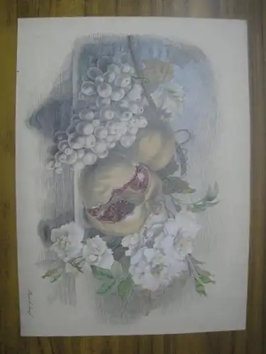 Budil, Josef: Konvolut mit 6 OriginalGrafiken. Unbetitelt [ Blumen und Früchte ]. 