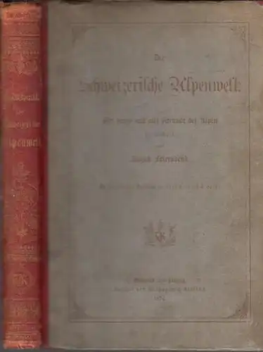 Feierabend, August - E. Heyn, F. Specht (Illustr.): Die Schweizerische Alpenwelt. Für junge und alte Freunde der Alpen dargestellt. 