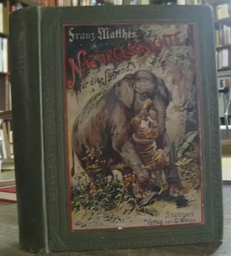 Matthes, Franz: Illustrierte Naturgeschichte für die Jugend. 