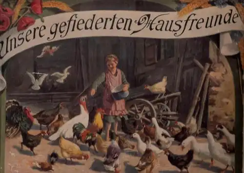 Jahn, August ( Verse ) / Wilhelm Schacht ( Bilder ): Unsere gefiederten Hausfreunde. Inhalt: Gänse-Familie. Tauben-Mahlzeit. Hühnersorgen. Ei, der Pfau! Freche Gesellschaft. Entenvergnügen. Hu, der Truthahn. Storchenglück. Schwanensippe. 