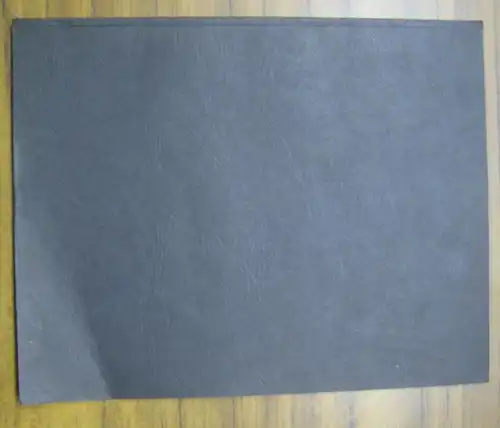 Krieger, Uwe (Text) / Meyer, Renate (Fotos): Masken des Theaters. 