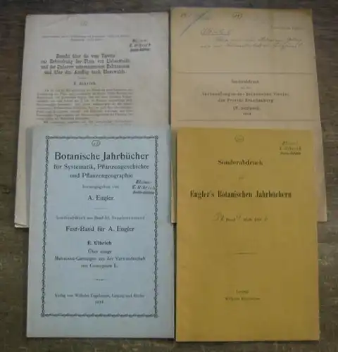 Ulbrich, Oskar Eberhard: Konvolut von vier botanischen Sonderdrucken. 1) Ranunculaceae audinae. 2) Über einige Malvaceen-Gattungen aus der Verwandtschaft von Gossypium L. 3) Selera, eine neue...