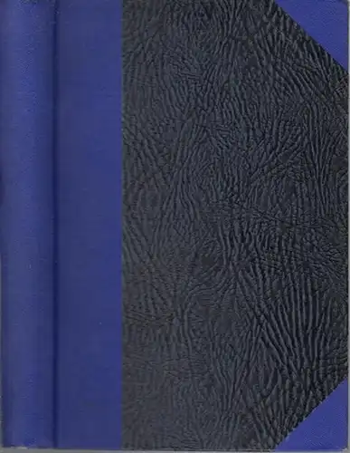 Runkel, Ferdinand: Die verschwundene Ragazza. Detektiv - Roman. 