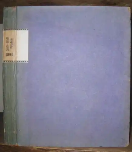 Amts Blatt der Koeniglichen Regierung zu Potsdam und der Stadt Berlin: AmtsBlatt der Königlichen Regierung zu Potsdam und der Stadt Berlin. Jahrgang 1890 komplett mit.. 