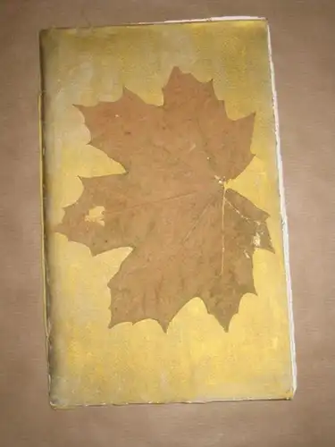 Meinke, Hanns: Große Fahrt. Den neuvermählten Lisa und Oskar Schirmer Gottes Segen. 