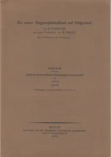 Staesche, K: Ein neuer Stegocephalenfund auf Helgoland. Mit einem Fudbericht von W. Wolff. ( Sonderdruck aus dem Jahrbuch der Preußischen Geologischen Landesanstalt für 1933, Band 54, Schriftltg. Abteilungs-Direktor Schmierer). 