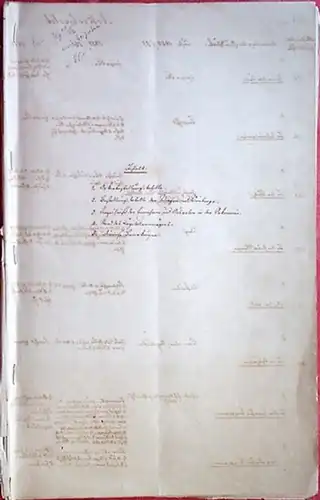 Landwirtschaft.   Ackerbestellungstabelle: Ackerbestellungstabelle. Bestellungstabelle der Wiesen und Weinberge [nebst weiteren ökonomischen Verzeichnissen]. Handschrift eines rheinhessischen Großbauern und Winzers. Nicht eindeutig lokalisierbar.. 