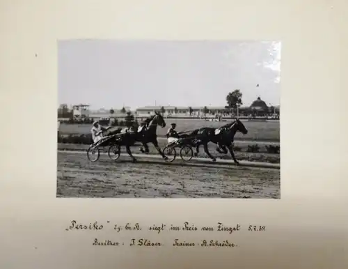 Traber. -Zingst. - Originalfotografie (ohne Fotograf): Trabrennen: Persiko 2j. br. H. siegt im Preis von Zingst 5. 7. 39. Besitzer: J. Gläser, Trainer: H. Schröder. 