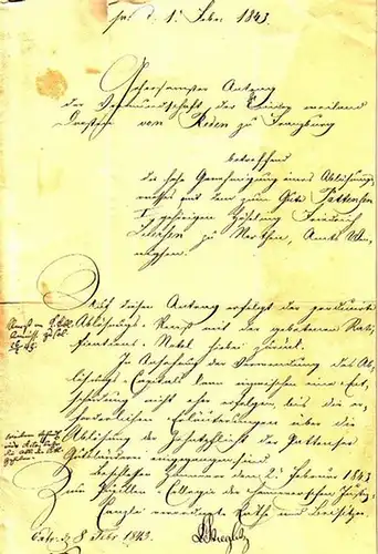 Amtliches Schriftstück, Antrag auf Vormundschaft. 'Zum 1. Februar 1843. Gehorsamster Antrag der Vormundschaft der Kinder weiland...von Reden zu Franzburg betreffend die hohe Genehmigung eines Ablösungsreceptes.. 