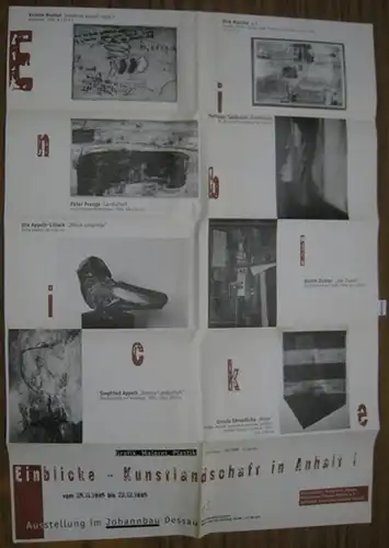 Kulturamt Dessau, Kulturbund Dessau - Wörlitz (Hrsg.) / Petra Jentsch / Regina Bittner / Dirk Manzke (Red.): Einblicke - Kunstlandschaft in Anhalt. Grafik, Malerei, Plastik. Ausstellung im Johannbau Dessau. 