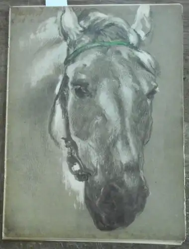 Jugend   Hirth, Georg (Hrsg.)   Fritz von Ostini / S. Sinzheimer / A. Matthäi /  F. Langheinrich / K. Ettlinger (Red.).. 