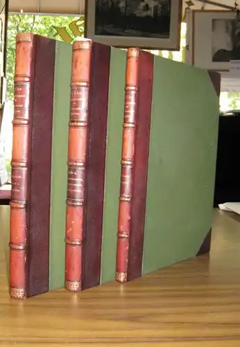 Ebe, Gustav: Die Schmuckformen der Monumentalbauten in den Stilepochen. Band 1, Teil IV. Theil Gothische Epoche mit 104 Abbildungen und einer farbigen Tafel. // Band.. 