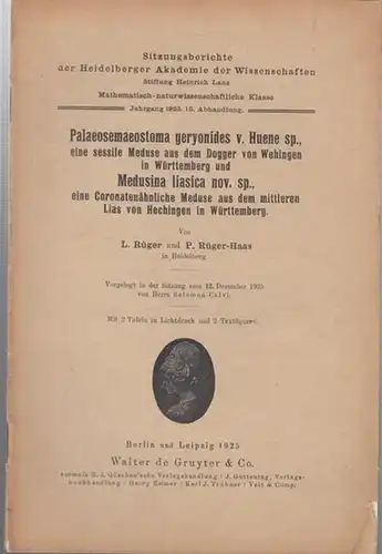 Rüger, L. / Rüger - Haas, P: Palaeosemaeostoma geryonides v. Huene sp., eine sessile Meduse aus dem Dogger von Wehingen in Württemberg und Medusina liasica...