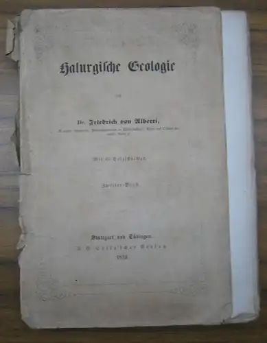 Alberti, Friedrich von: Halurgische Geologie. Zweiter Band: Sammlung von Material für eine Genesis der salinischen Bildungen (Halogenen. Pyrogenen. Pelogenen. Sporadischen, verbündeten, zwischengelagerten Akromorphen. Chemische Zusammensetzungen.. 
