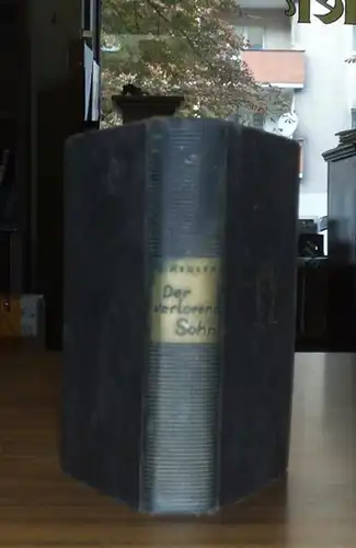 Der verlorene Sohn. Roman
