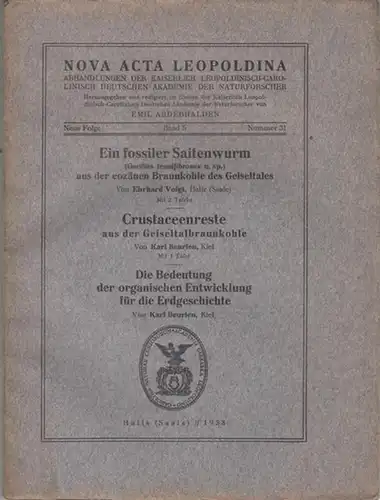 Voigt, Ehrhard / Karl Beurlen: Ein fossiler Saitenwurm ( Gordius tenuifibrosus n. sp. ) aus der eozänen Braunkohle des Geiseltales ( E.Voigt ) / Karl.. 