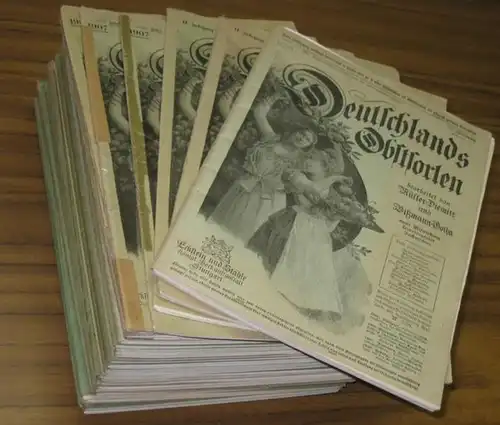 Müller, Johs. / Otto Bißmann (Bissmann)   Begründer // Walther Poenicke / Herm. Rosenthal / Otto Schindler und andere: Deutschlands Obstsorten. 26 Lieferungen (jährlich.. 