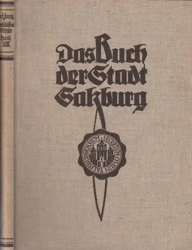 Salzburg. - Stein, Erwin (Hg.): Salzburg. (= Die Städte Deutschösterreichs. Band VIII (8): Eine Sammlung von Darstellungen der deutschösterreichischen Städte und ihrer Arbeit in Wirtschaft, Finanzwesen, Hygiene, Sozialpolitik und Technik). 