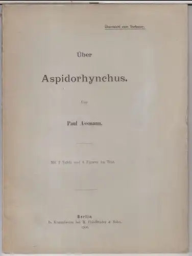 Assmann, Paul: Über Aspidorhynchus. - Aus: Archiv für Biontologie, Band 1, herausgegeben von der Gesellschaft naturforschender Freunde zu Berlin. 