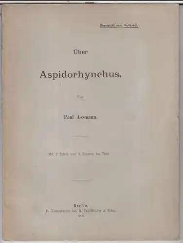 Assmann, Paul: Über Aspidorhynchus. - Aus: Archiv für Biontologie, Band 1, herausgegeben von der Gesellschaft naturforschender Freunde zu Berlin.