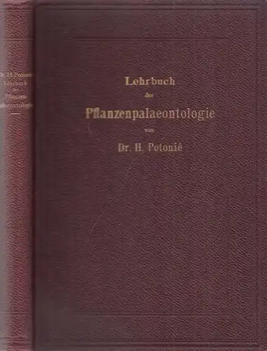 Potonié, H. ( Henry ): Lehrbuch der Pflanzenpalaeontologie mit besonderer Berücksichtigung auf die Bedürfnisse des Geologen. 