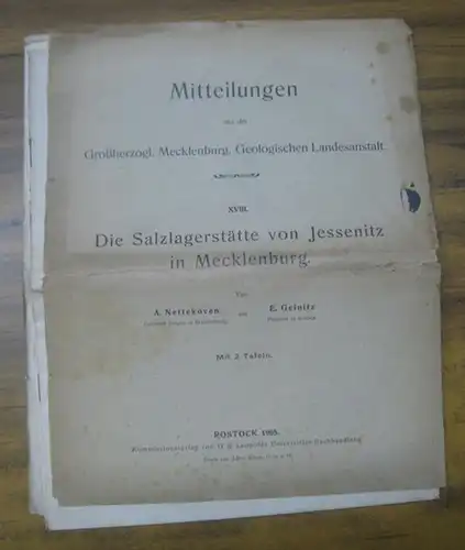 Nettekoven, A. / Geinitz, E: Die Salzlagerstätte von Jessenitz in Mecklenburg ( = Mitteilungen aus der Großherzogl. Mecklenburg. Geologischen Landesanstalt, XVIII ). 