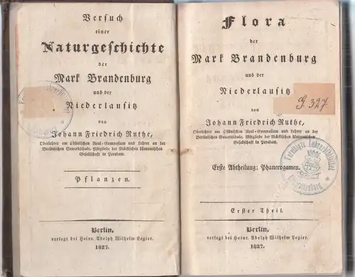Ruthe, Johann Friedrich: Phanerogamen - Flora der Mark Brandenburg und der Niederlausitz, erster Theil. (= Versuch einer Naturgeschichte der Mark Brandenburg und der Niederlausitz - Pflanzen, erster Teil). 