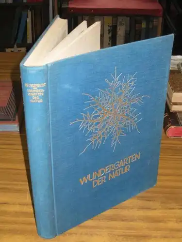 Blossfeldt, Karl: Wundergarten der Natur. Neue Bilddokumente schöner Pflanzenformen. 