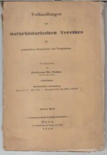 Naturhistorischer Verein der preußischen Rheinlande und Westfalens. - Herausgeber: Budge. - Beiträge: Karsch / Kaltenbach / Mayer: 13. Jahrgang 1856, drittes Heft mit Bogen 11...