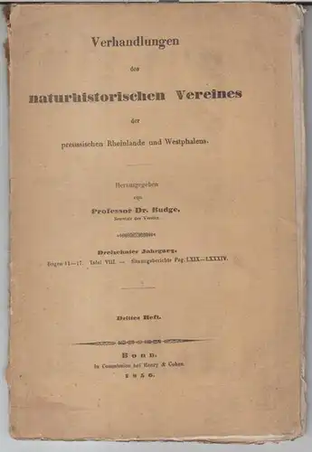 Naturhistorischer Verein der preußischen Rheinlande und Westfalens.   Herausgeber: Budge.   Beiträge: Karsch / Kaltenbach / Mayer: 13. Jahrgang 1856, drittes Heft mit.. 