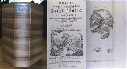 Krünitz, Johann Georg / M. C. von Schütz, G. Graßmann (Hrsg.): Auszug aus des Herrn D. Johann Georg Krünitz ökonomisch technologischen Encyklopädie, oder allgemeinen System.. 
