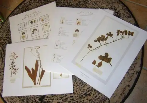 Muir, John ( 1838 - 1914 ). - Contributors: Bonnie J. Gisel / Stepehn J. Joseph: John Muir collection. 12 keepsake folio prints. 