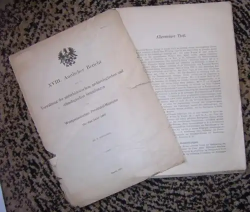 Westpreussisches Provinzial-Museum. - Conwentz ( Direktor ): XVIII. Amtlicher Bericht über die Verwaltung der naturhistorischen, archaeologischen und ethnologischen Sammlungen des Westpreussischen Provinzial-Museums für das Jahr 1897. 