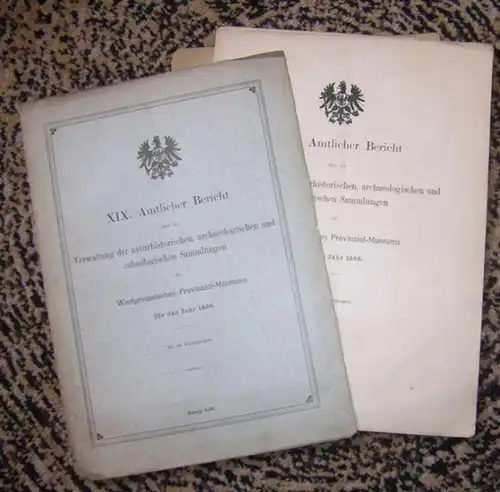 Westpreussisches Provinzial-Museum. - Conwentz ( Direktor ): XIX. Amtlicher Bericht über die Verwaltung der naturhistorischen, archaeologischen und ethnologischen Sammlungen des Westpreussischen Provinzial-Museums für das Jahr 1898. 