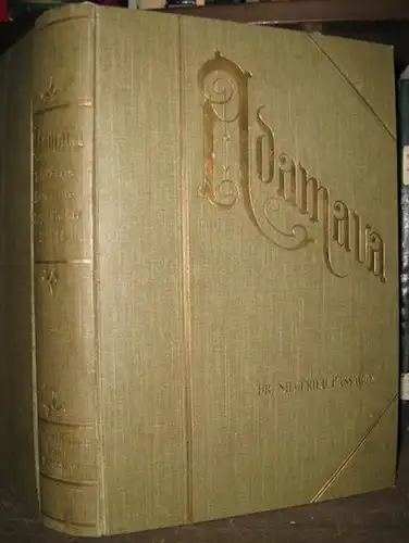 Passarge, Siegfried.   Kartenzeichnungen: Karl Gustav Limpricht, unter der Redaktion von Richard Kiepert.   Illustrationen: Wilhelm Kuhnert und Wilhelm von den Steinen: Adamaua.. 
