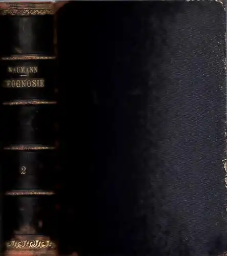 Naumann, Carl Friedrich: Band 2: Lehrbuch der Geognosie. Zweiter Band apart. ( Chtonographie oder Geognosie der festen Erdkruste ). 