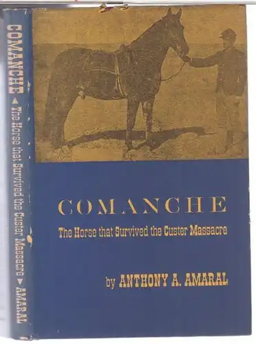 Amaral, Anthony A. - with a foreword by Edward S. Luce: Comanche. The horse that survived the Custer massacre. 