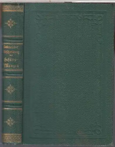 Schneider, Ludwig: Beschreibung der Gefäßpflanzen des Florengebiets von Magdeburg, Bernburg und Zerbst. Mit einer Uebersicht der Boden  und Vegetations Verhältnisse. Für höhere Schulen und.. 