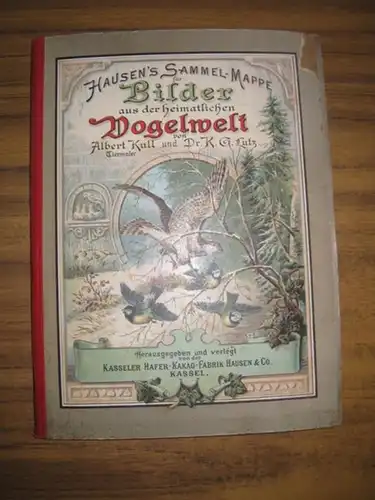 Kull, Albert und K. G. Lutz: Bilder aus der heimatlichen Vogelwelt. Hausen's Sammel-Mappe für Bilder.