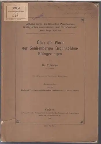 Königlich Preußische Geologische Landesanstalt. - P. Menzel: Über die Flora der Senftenberger Braunkohlen-Ablagerungen ( = Abhandlungen der Königlich Preussischen Geologischen Landesanstalt, Neue Folge, Heft 46 ). 