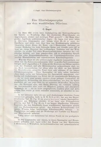 Gagel, C: Eine Elfenbeinspeerspitze aus dem westfälischen Diluvium ( Aus der Zeitschrift für Ethnologie, Jahrgang 1925, Heft 1/2 ). 