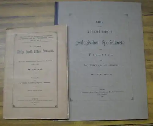 Caspary R. / Triebel, R.   Herausgegeben von der Königlich Preussischen geologischen Landesanstalt: Abhandlung UND Atlas: R. Caspary: Einige fossile Hölzer Preussens.. 