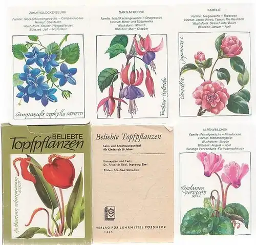 Ebel, Friedrich - Ingeborg Ebel / Manfred Gottschall (Illustr.): Beliebte Topfpflanzen. Lehr- und Anschauungsmaterial für Kinder ab 10 Jahre. 