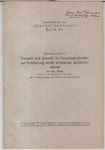 Senckenbergiana. - Rud. Richter: Tierwelt und Umwelt im Hunsrückschiefer; zur Entstehung eines schwarzen Schlammsteins. - Sonderabdruck aus 'Senckenbergiana' Band 13, 1931, Nr. 5/6. - Senckenberg am Meer, 51. 