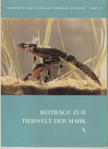 Potsdam-Museum, Bereich Natur und Umwelt (Hrsg.) / Manfred Feiler (Schriftleitung): Beiträge zur Tierwelt der Mark X. ( Veröffentlichungen des Potsdam-Museums, Heft 27 ). - Aus...