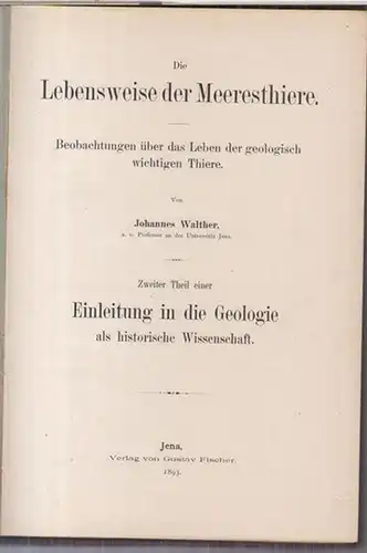 Walther, Johannes: Die Lebensweise der Meeresthiere. Beobachtungen über das Leben der geologisch wichtigen Thiere. Zweiter Theil einer Einleitung in die Geologie als historische Wissenschaft. 
