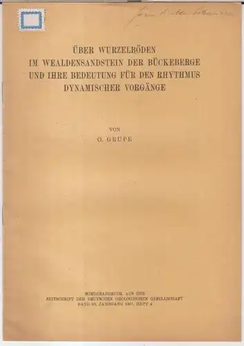 Gruppe, O: Über Wurzelböden im Wealdensandstein der Bückeberge und ihre Bedeutung für den Rhythmus dynamischer Vorgänge. Vortrag, gehalten in der Sitzung am 7. Februar 1931.. 